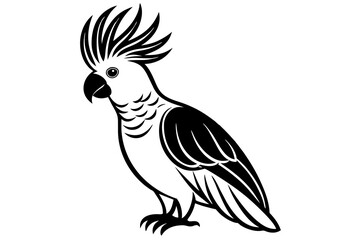 cockatiel silhouette vector illustration