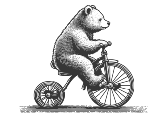 Foto auf Acrylglas circus bear rides bicycle sketch PNG illustration with transparent background © Oleksandr Pokusai