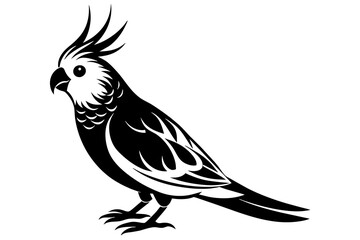 cockatiel silhouette vector illustration