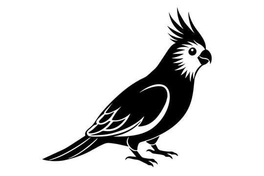 recommend clip art: cockatiel silhouette vector illustration