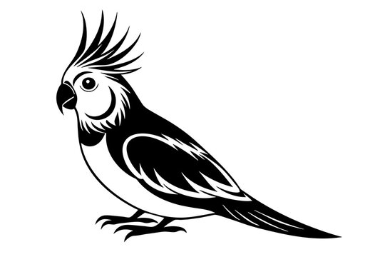 recommend clip art: cockatiel silhouette vector illustration