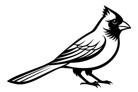 recommend clip art: cardinal silhouette vector illustration