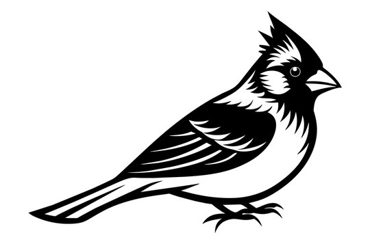 recommend clip art: cardinal silhouette vector illustration