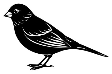 canary silhouette vector illustration