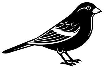 canary silhouette vector illustration