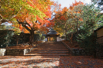 Fototapeta na wymiar 安楽寺 - Anrakuji Temple in kyoto, Japan