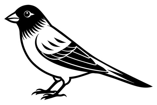 recommend clip art: canary silhouette vector illustration