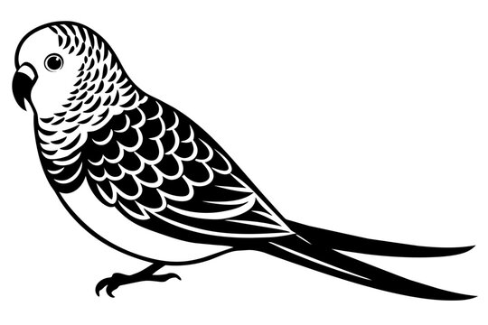 recommend clip art: budgerigar budgie silhouette vector illustration