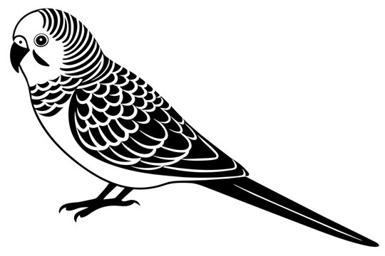 recommend clip art: budgerigar budgie silhouette vector illustration