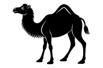 bactrian camel silhouette vector illustration