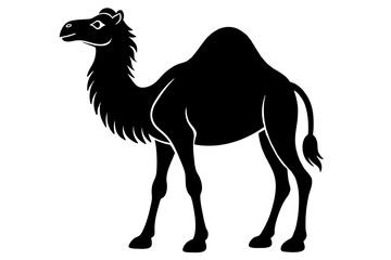 bactrian camel silhouette vector illustration