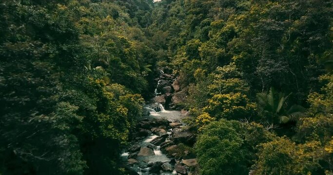 Aerial shot of river in El Yunque rainforest, Puerto Rico.