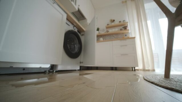 Puddle of water on wooden floor from an open dishwasher in a sunlit kitchen, signaling a domestic mishap