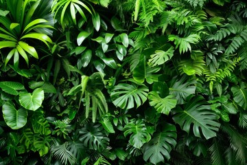 Multiple Vegetation Plants in Tropical Rainforest Background created with Generative AI Technology - obrazy, fototapety, plakaty