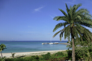 沖縄　椰子の木と海　リゾート