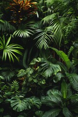 Fototapeta na wymiar Multiple Vegetation Plants in Tropical Rainforest Background created with Generative AI Technology