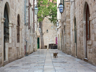 The stone paving in the alley, Old City of Dubrovnik, Croatia.