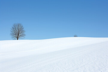 Fototapeta na wymiar Winter landscape with a leafless tree