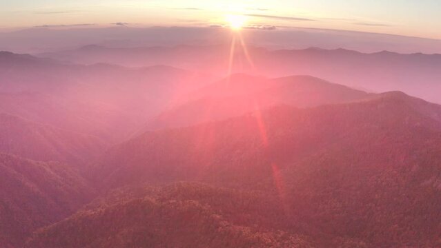dawn in the Ukrainian Carpathians after the rain, when the gentle fog at dawn in the valleys hugs the mountain peaks, view from a flying drone