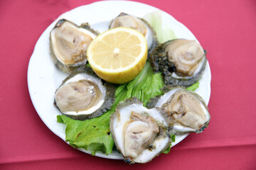 ostras crudas en un plato con medio limón - 768309555