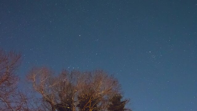 The Orion Constellation setting in the sky behind some trees. The Taurus Constellation is also visible. The stars Betelgeuse, Sirius and Procyon are prominent in the video. Taken in March.