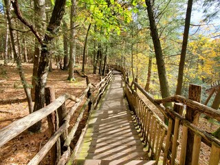 The view of the wooden walking trail surrounded by stunning fall foliage near Bushkill Falls, Pennsylvania, U.S.A