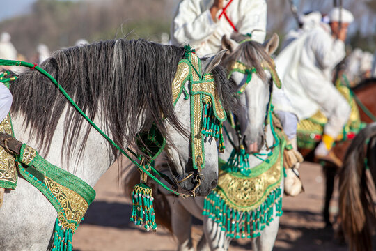 Horse and rider from Morocco
