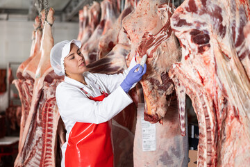 Young female worker of meat processing factory inspecting fresh raw meat hanging in cold storage...