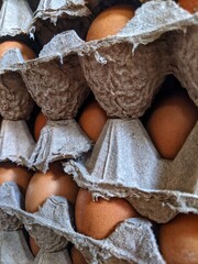 eggs packed in cages for sale