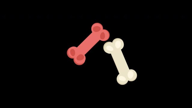 two dogs bone icon concept loop animation video with alpha channel