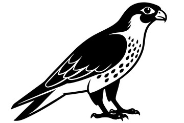 falcon silhouette vector illustration