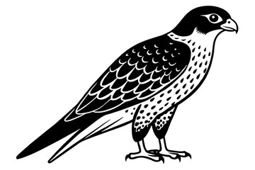 falcon silhouette vector illustration
