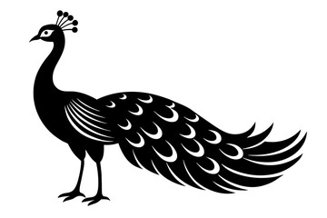 peacock silhouette vector illustration