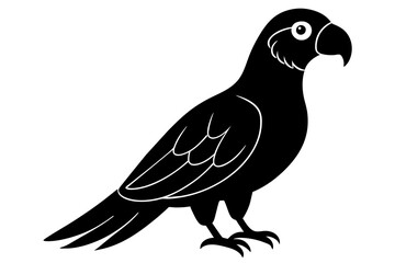parrot silhouette vector illustration