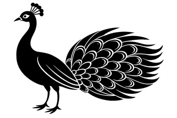 Fototapeta premium peacock silhouette vector illustration