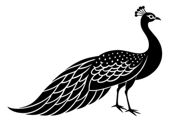 peacock silhouette vector illustration