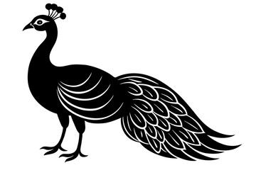 Fototapeta premium peacock silhouette vector illustration