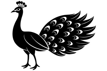 peacock silhouette vector illustration