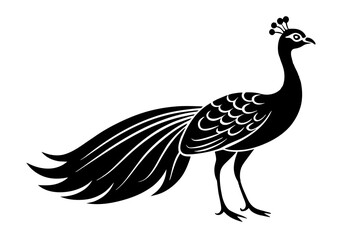 Fototapeta premium peacock silhouette vector illustration