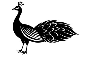 Fototapeta na wymiar peacock silhouette vector illustration