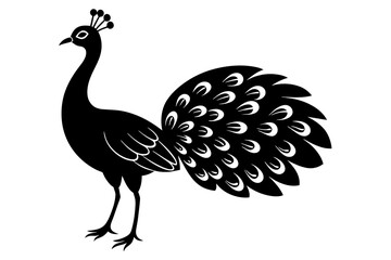 Fototapeta premium peacock silhouette vector illustration