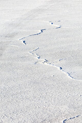 Bonneville Salt Flats