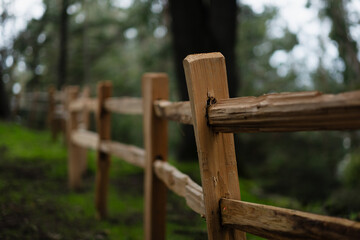 Closeup of a freshly built, rustic wooden fence in a forest. The unfinished wood is irregularly...