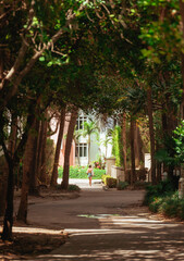 alley in the park miami 