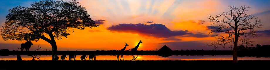 Amazing sunset and sunrise.Panorama silhouette tree in africa with sunset.Silhouette tourist on a jeep taking a picture of a giraffe, on the sunset background, Amazing atmosphere in the evening.