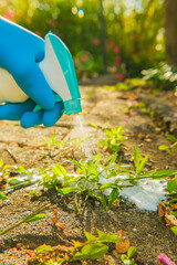 Weed Control spray. Removing weeds from tiles.Splashes of spray fly into the grass growing on the...