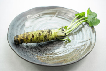 山葵（わさび）
