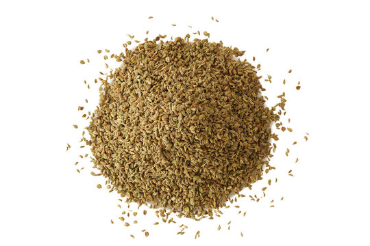 heap of ajwain or Trachyspermum ammi,caraway herb spice seeds also known in india as ajmo,ajowan, cut out on transparent background,png format,top view