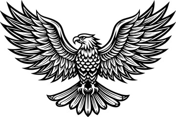 Fototapeta premium Eagle spreading its wing. Black and white vector.
