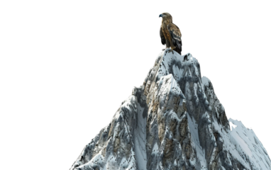 Majestic Sentinel Griffin on High Isolated on Transparent Background PNG.